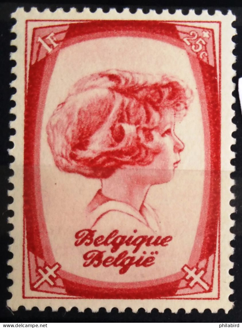 BELGIQUE                       N° 492                       NEUF** - Nuovi