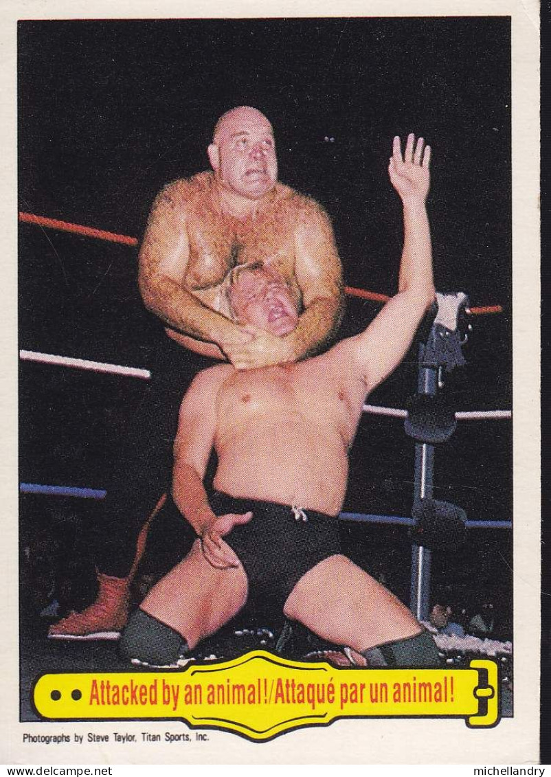 Carte (123788) #37 WWF George ‘’L’Animal’’ Steele Attaqué Par Un Animal / Attaked By An Animal! - Trading-Karten