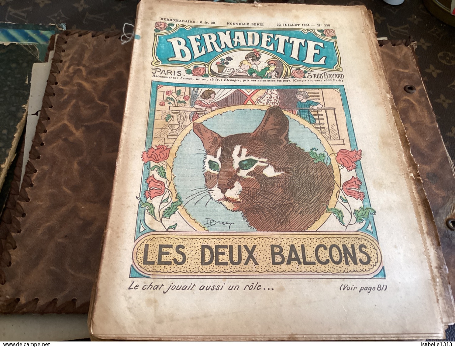 Bernadette Revue Hebdomadaire Illustrée Rare  1934 Numéro 238 Les Deux Balcons Chat - Bernadette