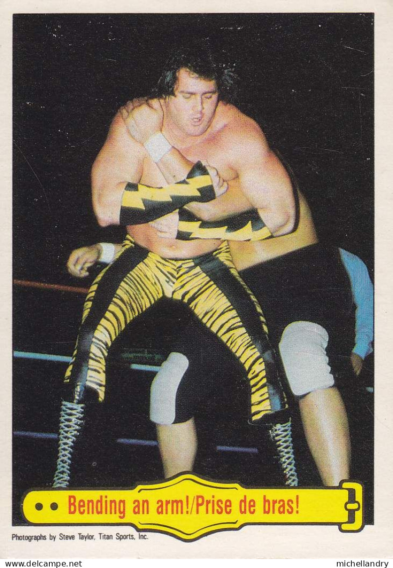 Carte (123789) #41 WWF Brutus Beefcake Prise De Bras / Bending An Arm! - Tarjetas