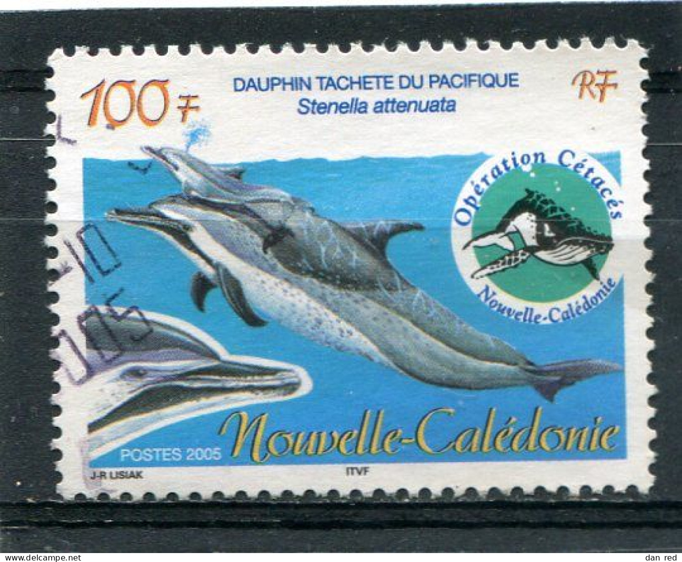 NOUVELLE CALEDONIE  N°  941  (Y&T)  (Oblitéré) - Used Stamps