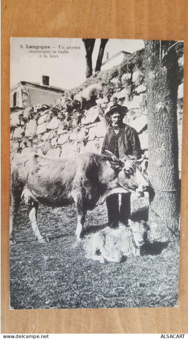 Langogne , Un Paysan Conduisant Sa Vache à La Foire - Langogne