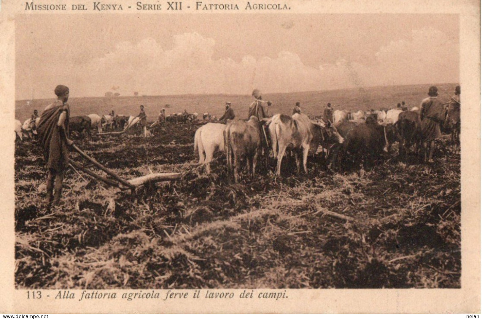 KENYA - FATTORIA AGRICOLA - ALLA FATTORIA AGRICOLA FERVE IL LAVORO DEI CAMPI - Kenya