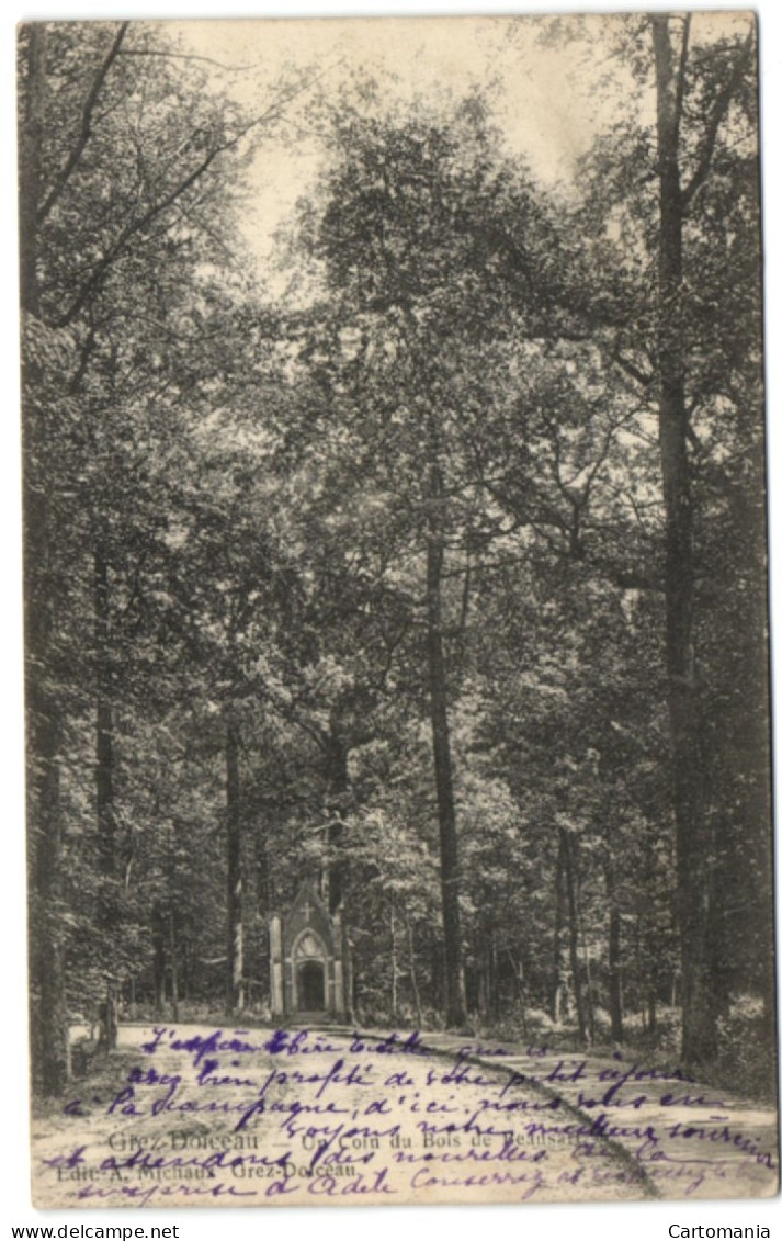 Grez-Doiceau - Un Coin Du Bois De Beausart - Graven