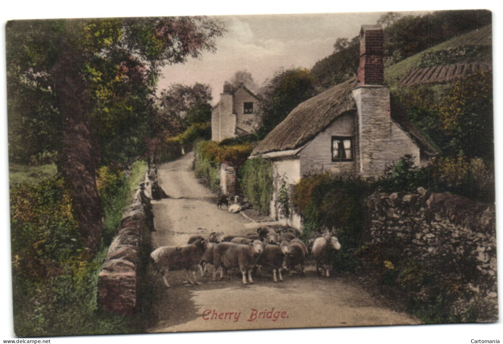 Cherry Bridge - Lynmouth - Lynmouth & Lynton