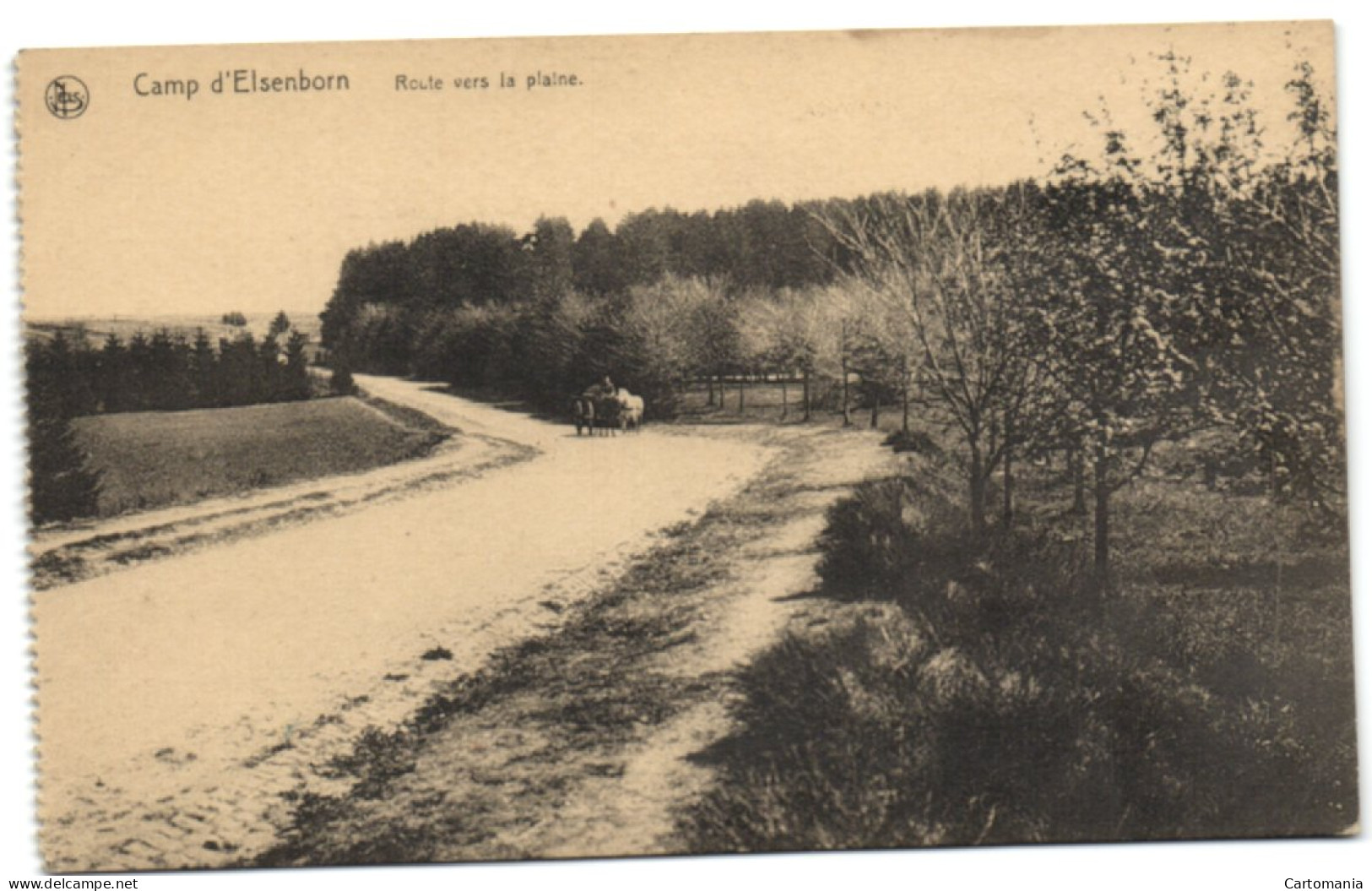 Camp D'Elsenborn - Route Vers La Plaine - Elsenborn (camp)
