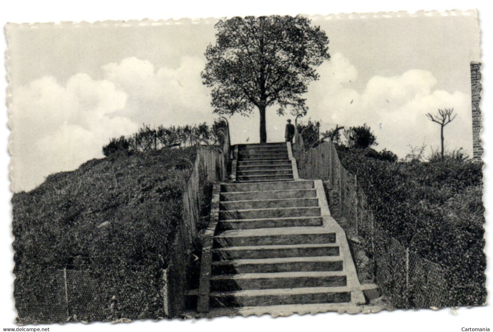 Borgloon - Burchtheuvel Met Panorama - Borgloon