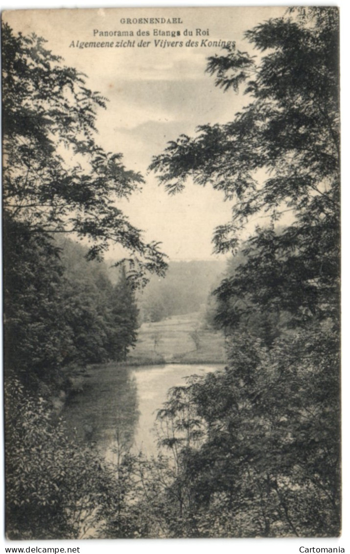 Groenendael - Panorama Des Etangs Du Roi - Hoeilaart