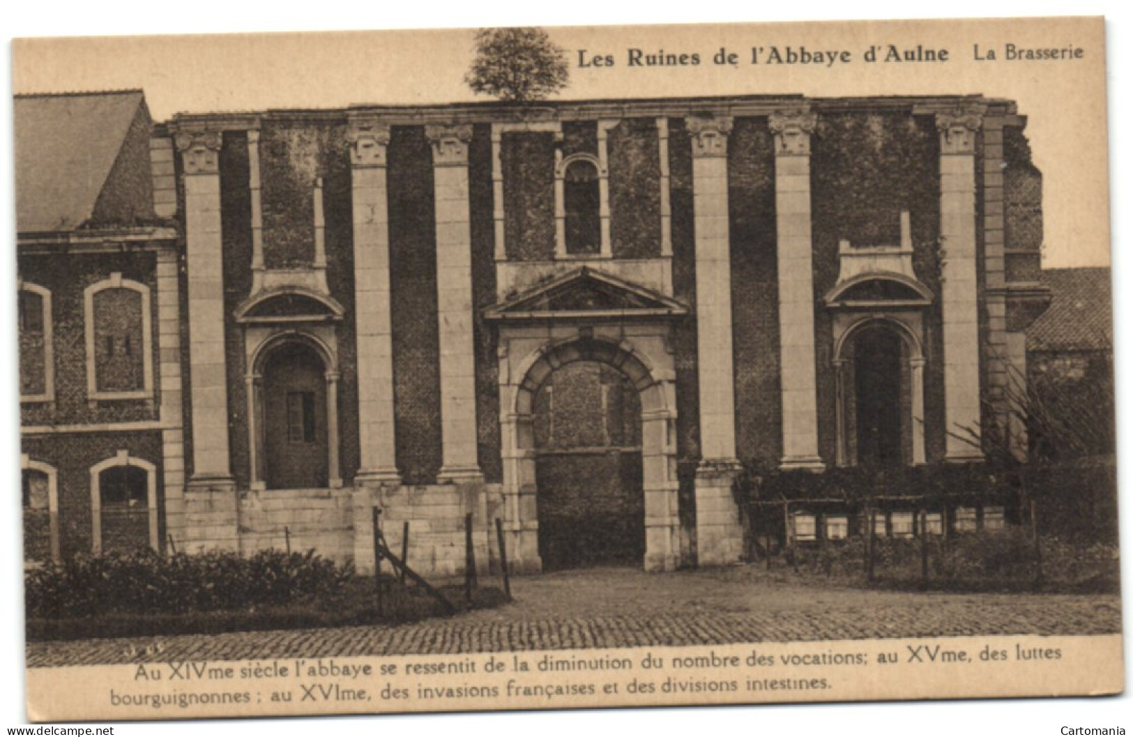 Les Ruines De L'Abbaye D'Aulne - La Brasserie - Thuin