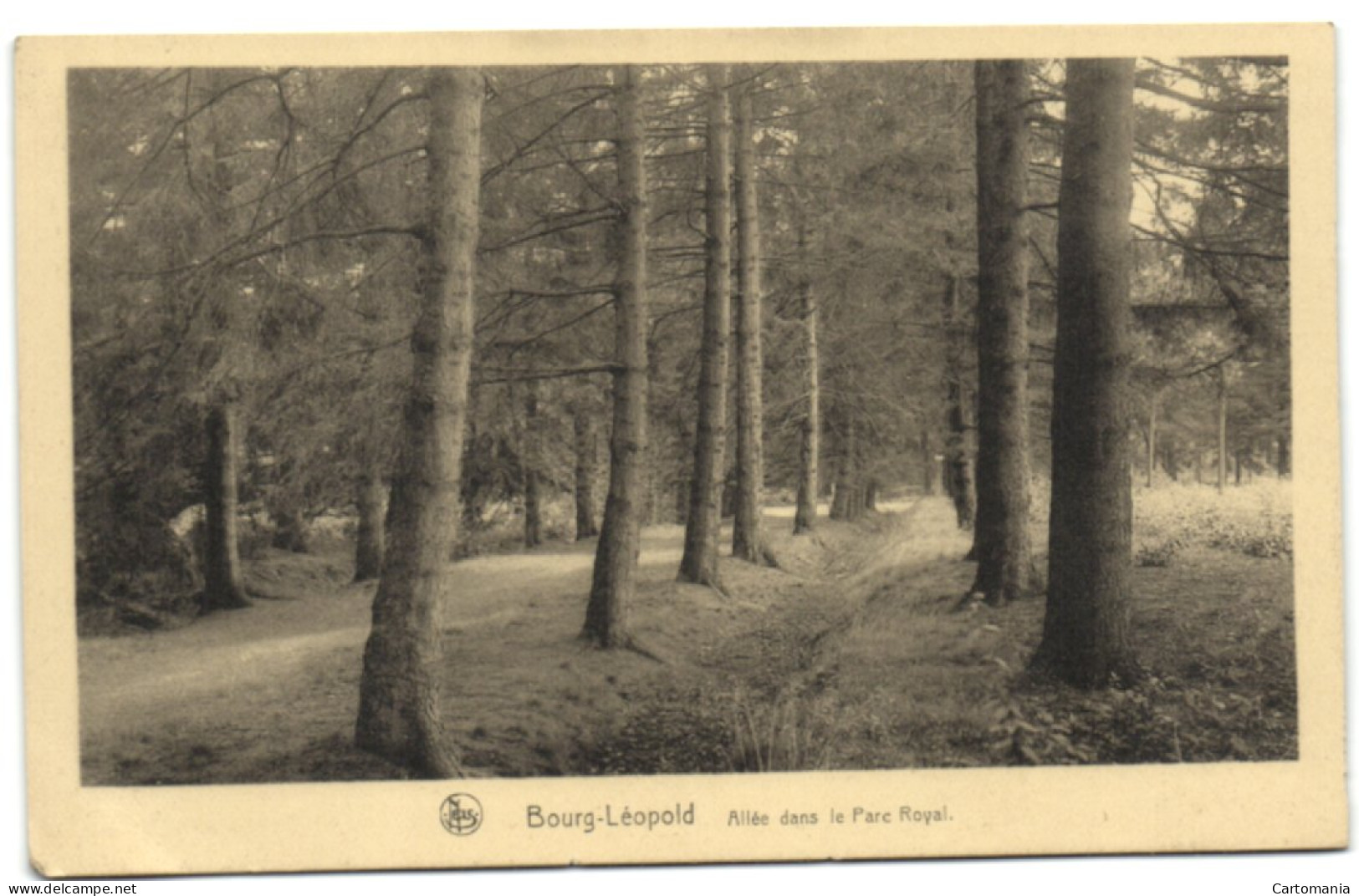 Bourg-Léopold - Allée Dans Le Parc Royal - Leopoldsburg