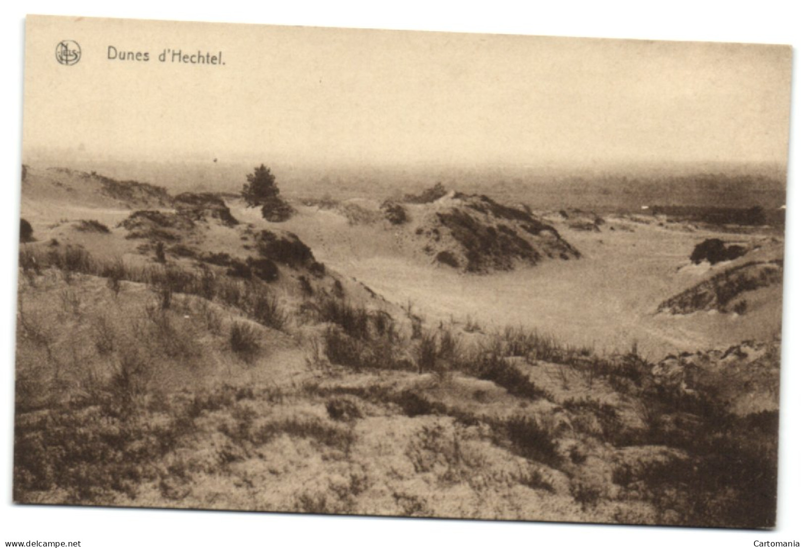 Dunes D'Hechtel - Hechtel-Eksel