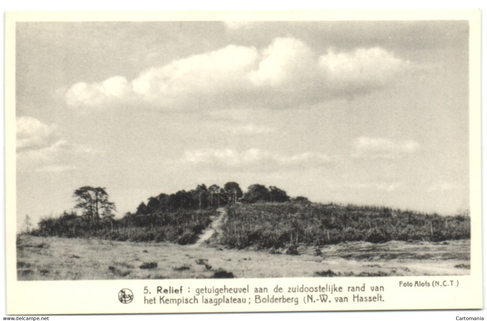 Getuigeheuvel Aan De Zuidoostelijke Rand Van Het Kempisch Laagplateau Bolderberg (N.-W. Van Hasselt) - Heusden-Zolder