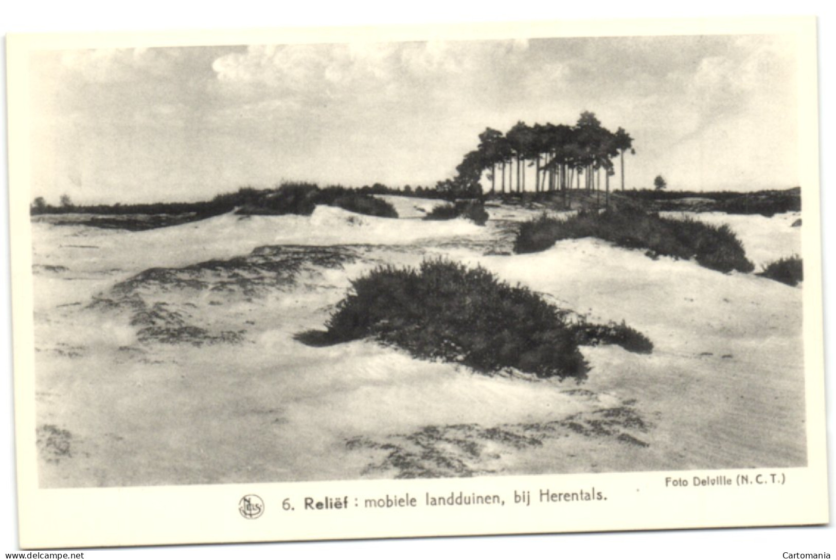 Reliëf - Mobiele Landduinen Bij Herentals - Herentals