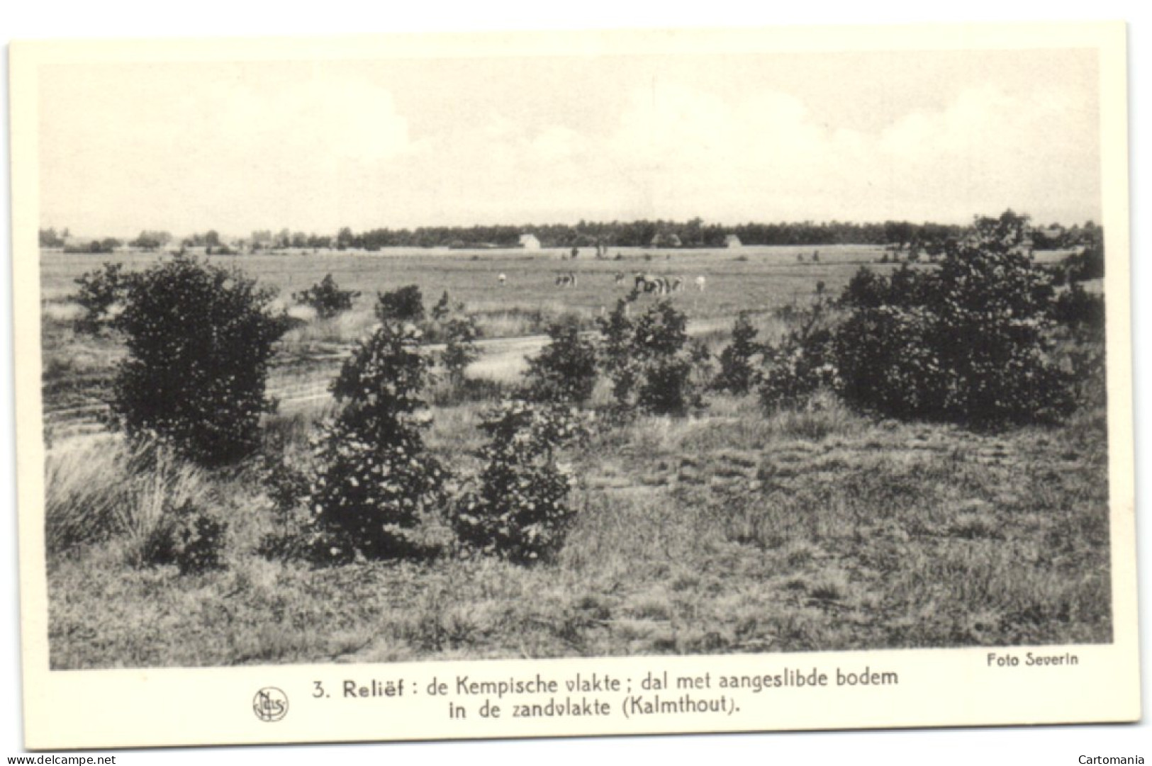 Reliëf - De Kempische Vlakte Dal Met Aangeslibde Boden In De Zandvlakte (Kalmthout) - Kalmthout