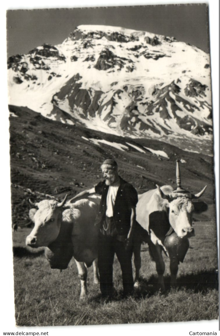 Sur L'Alpe - Photo-Edition A. Deriaz - Baulmes - Baulmes