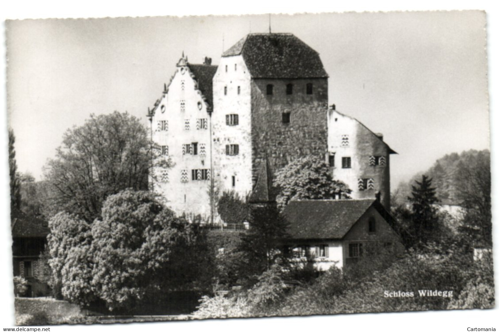 Schloss Wildegg - Wildegg