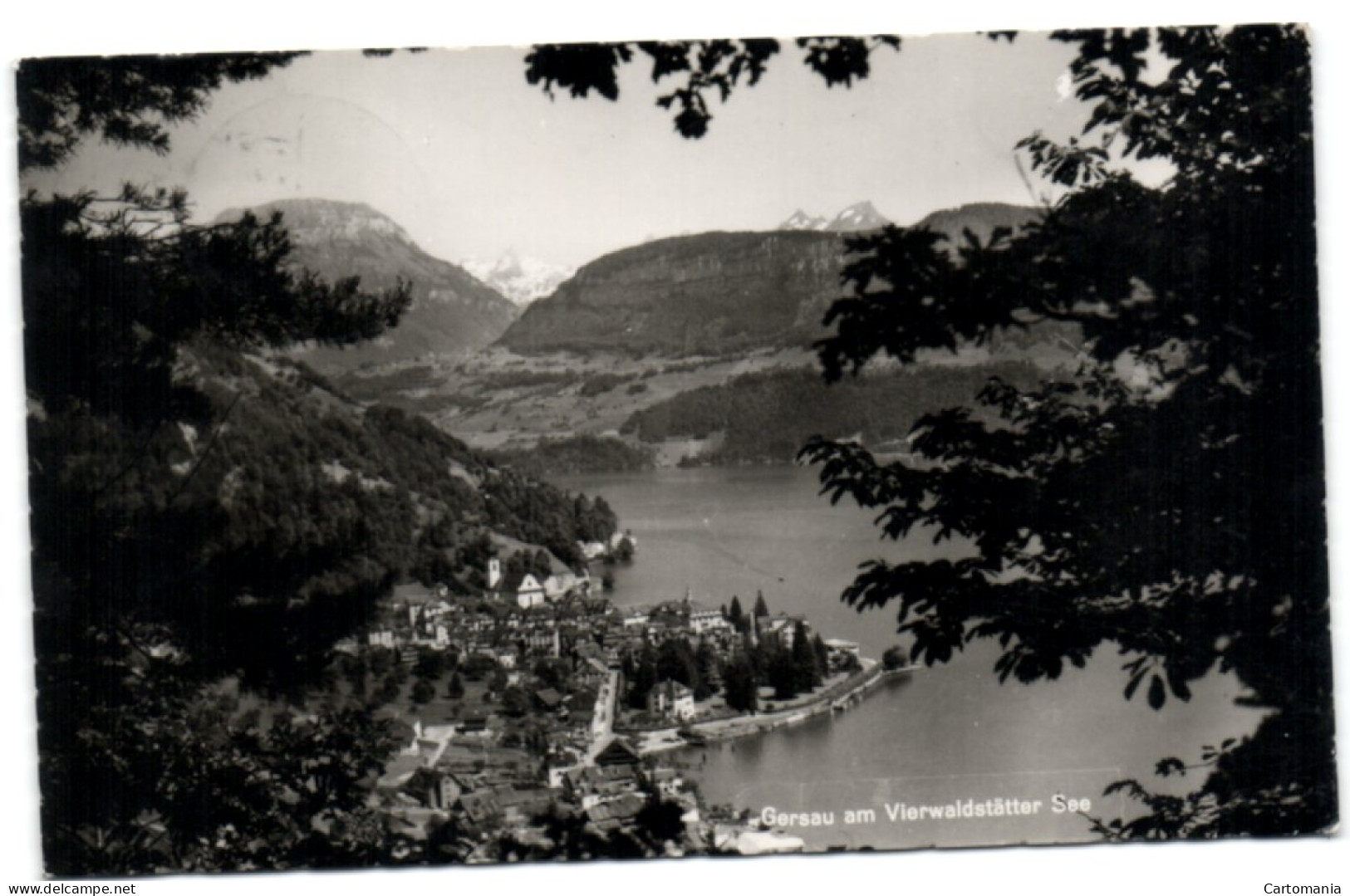 Gersau Am Vierwalstättersee - Gersau