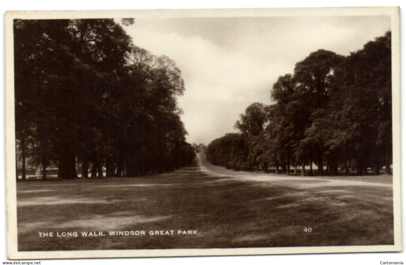 The Long Walk - Windsor Great Park - Windsor