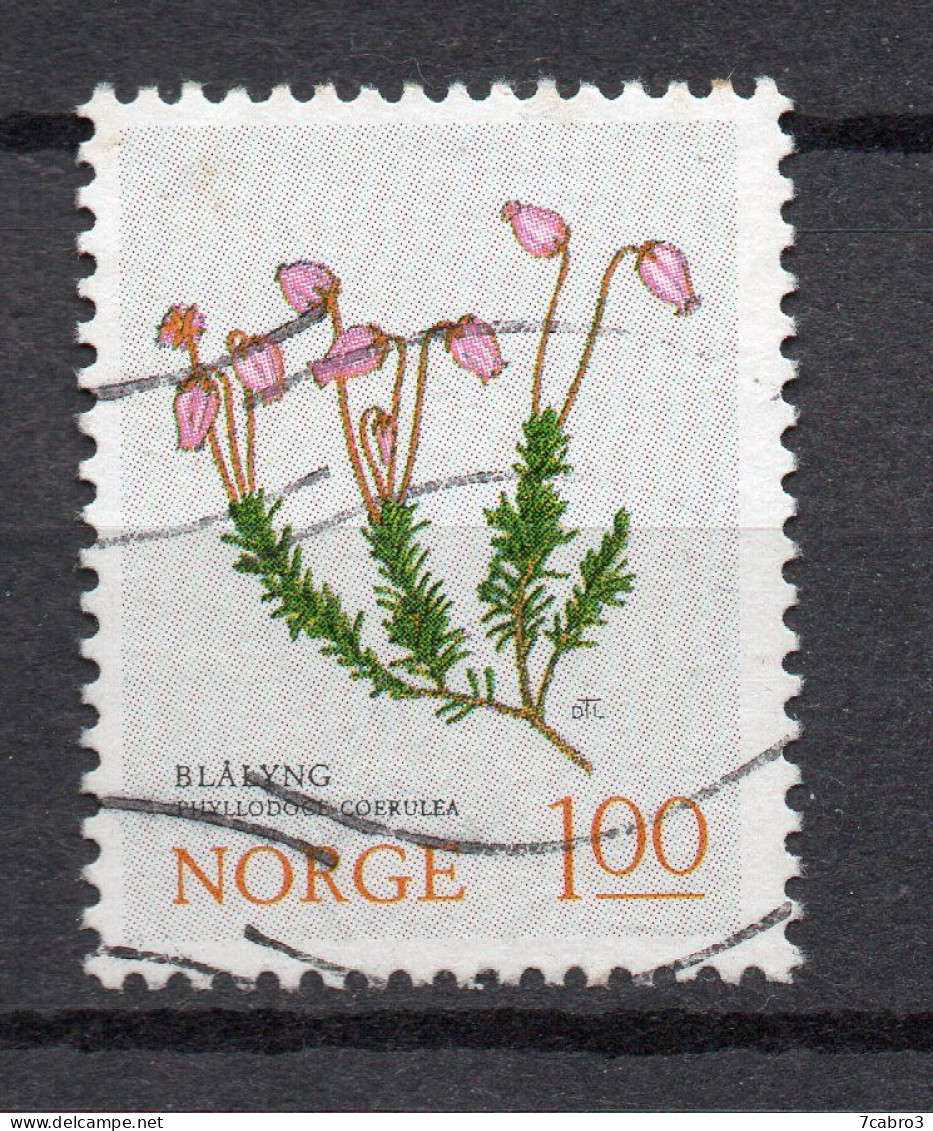 Norvège Y&T N° 629  Mi N° 673 * Oblitéré - Used Stamps