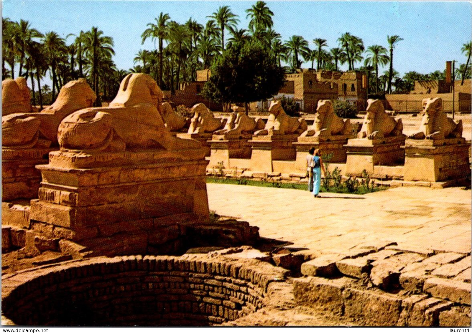 16-10-2023 (4 U 24) Egypt - Karnak - Sphinx Avenue - Sphinx