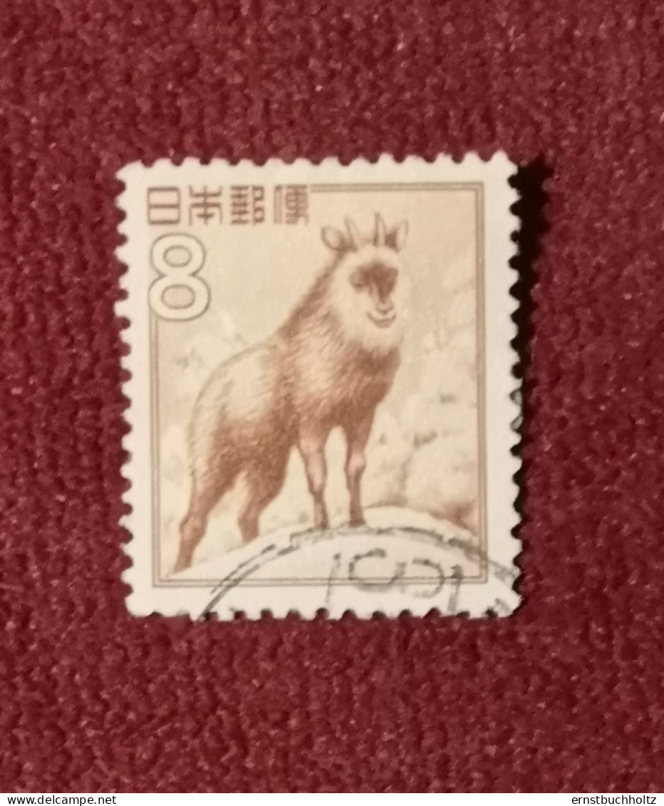 Japan 1952 Japanischer Serau Mi 588 O Gestempelt - Used Stamps