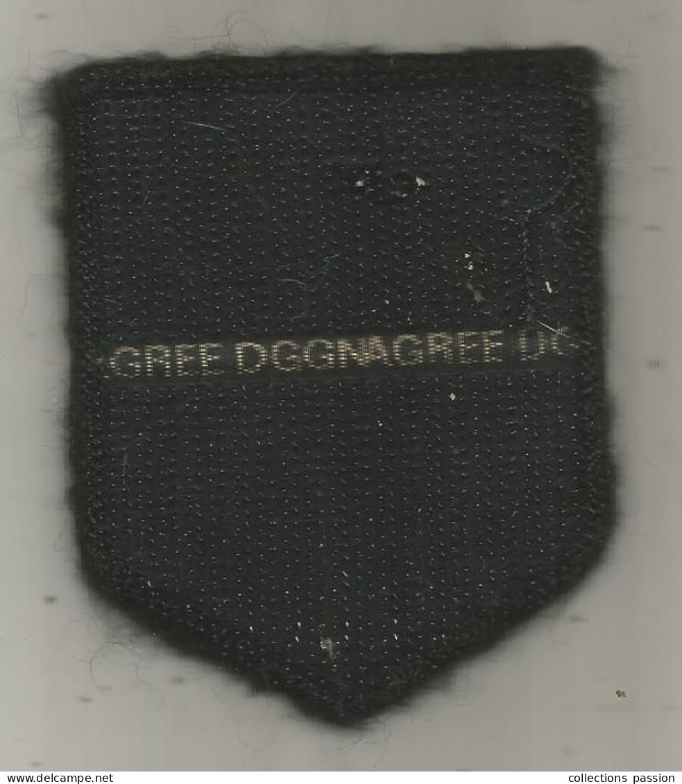 Ecusson De La GENDARMERIE, 2 Scans, Région Auvergne, Agréé DGGN - Police