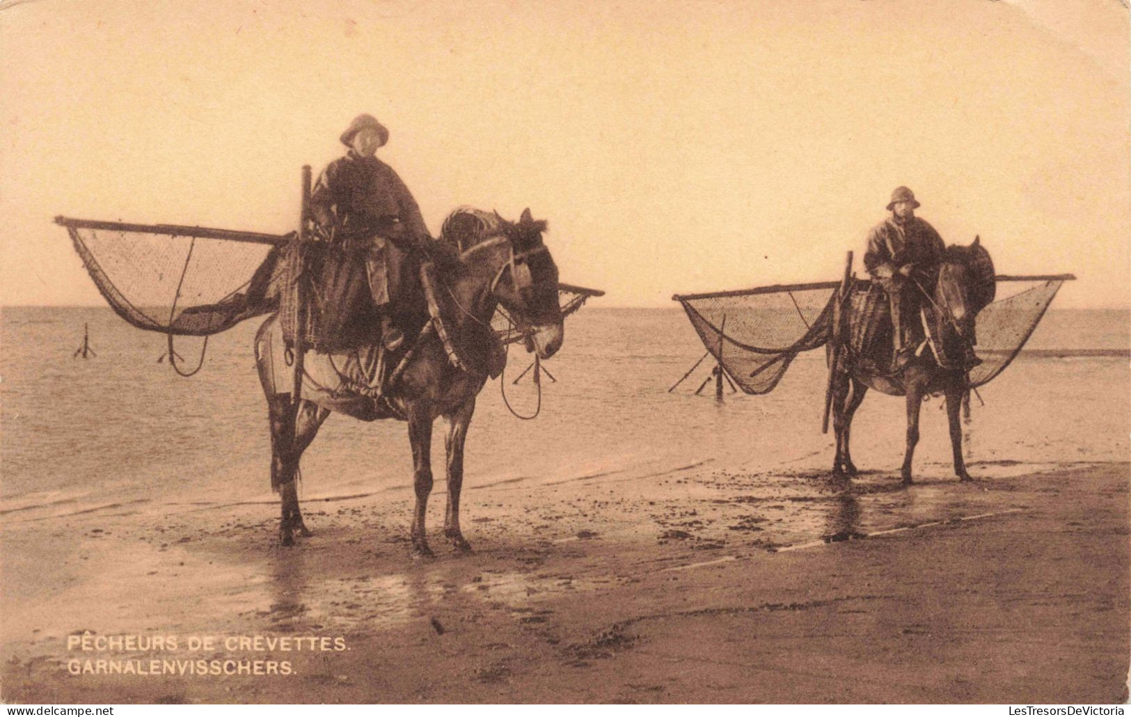 METIERS - Pêcheurs De Crevettes - Anes - Carte Postale Ancienne - Fishing