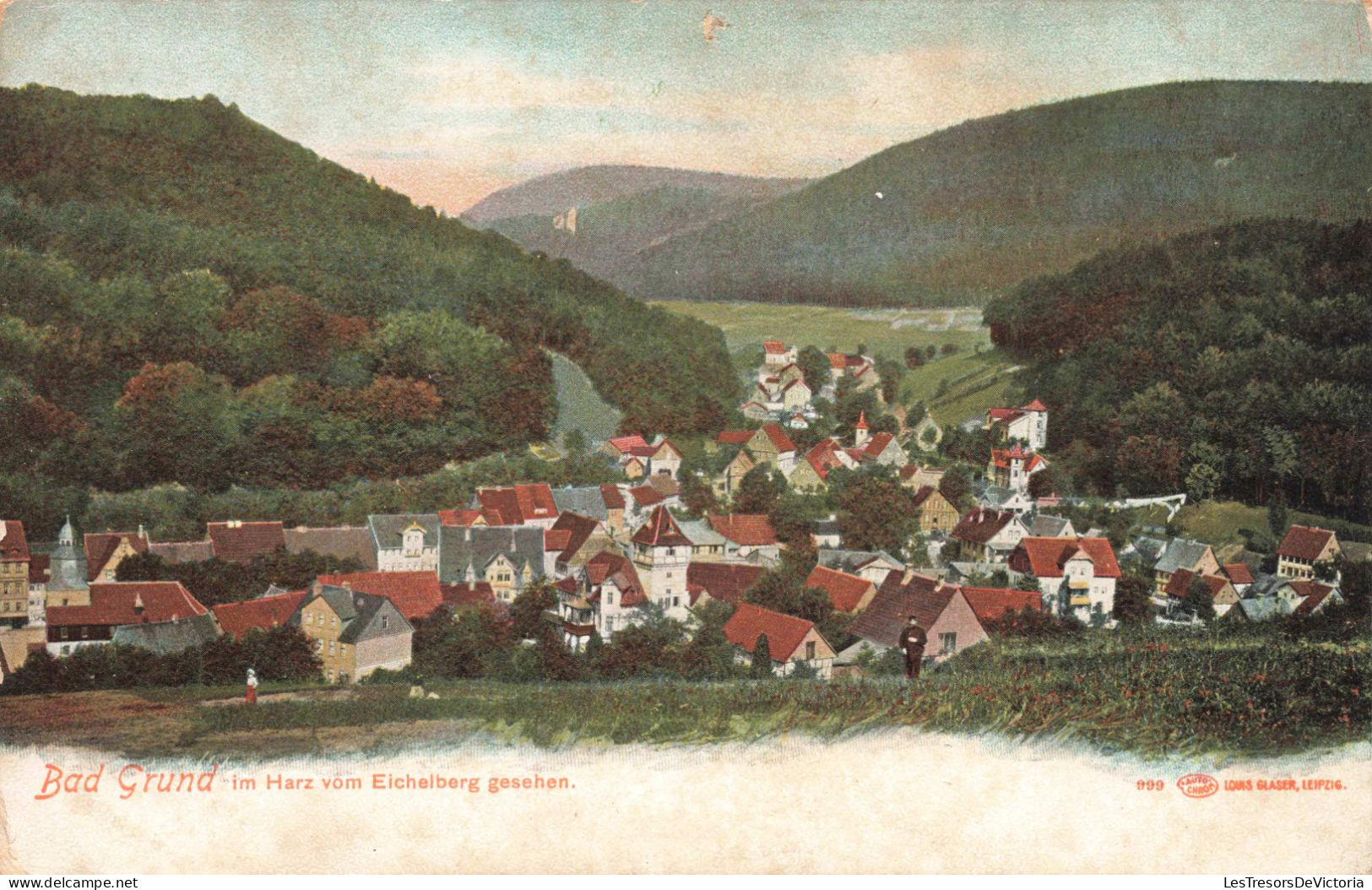 ALLEMAGNE - Bad Grund - Bad Grund Dans Le Harz- Vue Depuis Eichelberg - Colorisé - Carte Postale Ancienne - Bad Grund