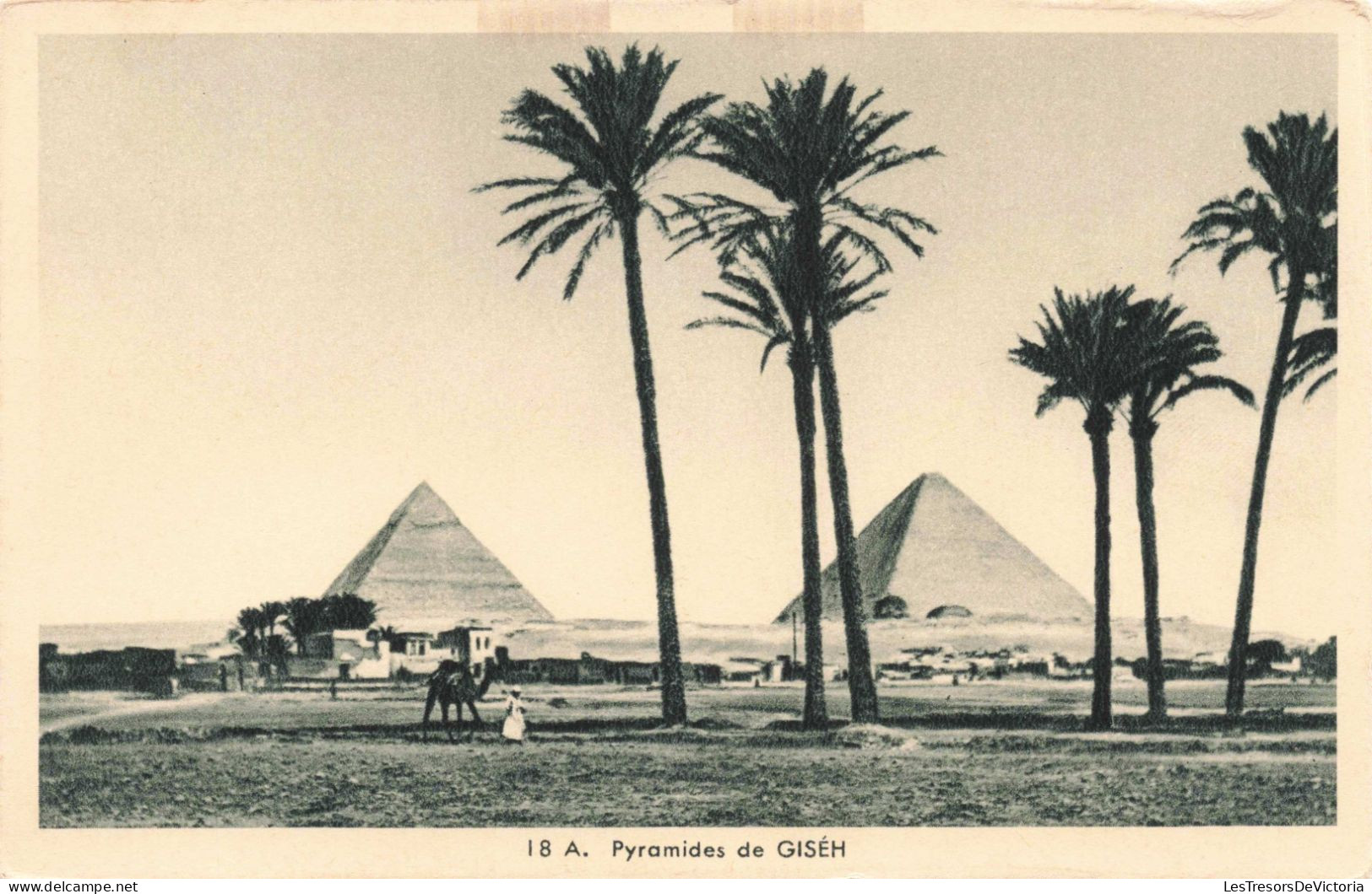 EGYPTE - Le Caire - Pyramides De Giséh - Carte Postale Ancienne - Le Caire