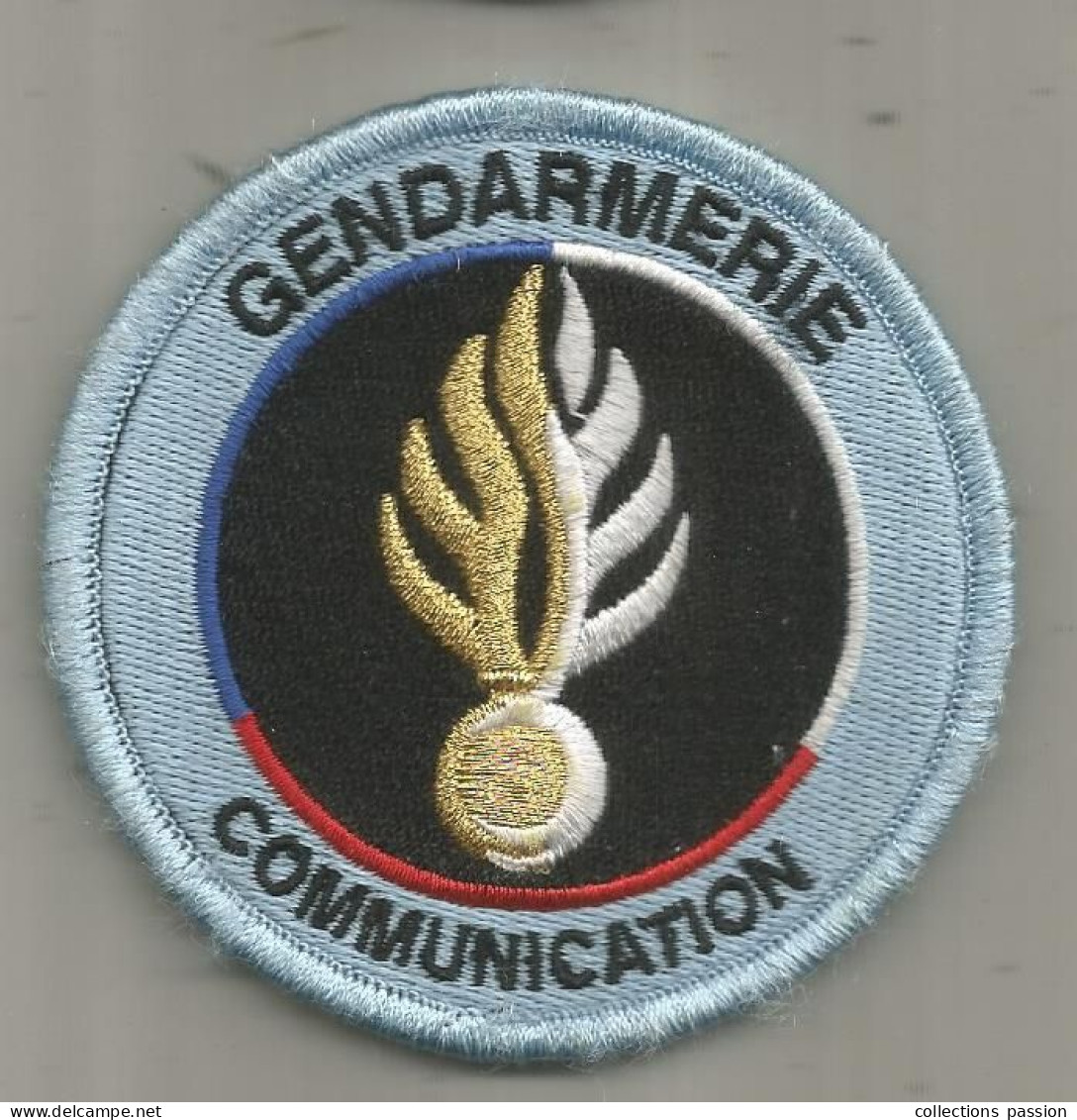 Ecusson De La GENDARMERIE, 2 Scans, Communication, Agréé DGGN - Police