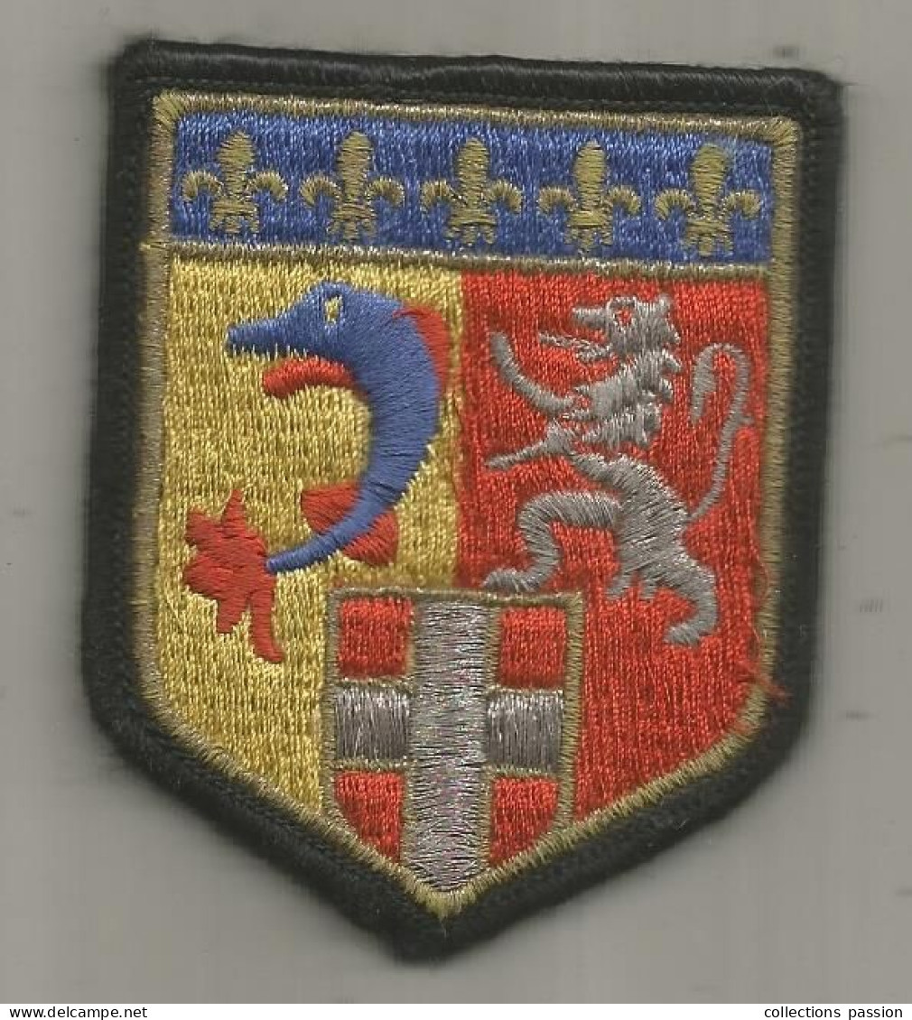 Ecusson De La GENDARMERIE, 2 Scans, Gendarmerie Région Rhone-Alpes - Police