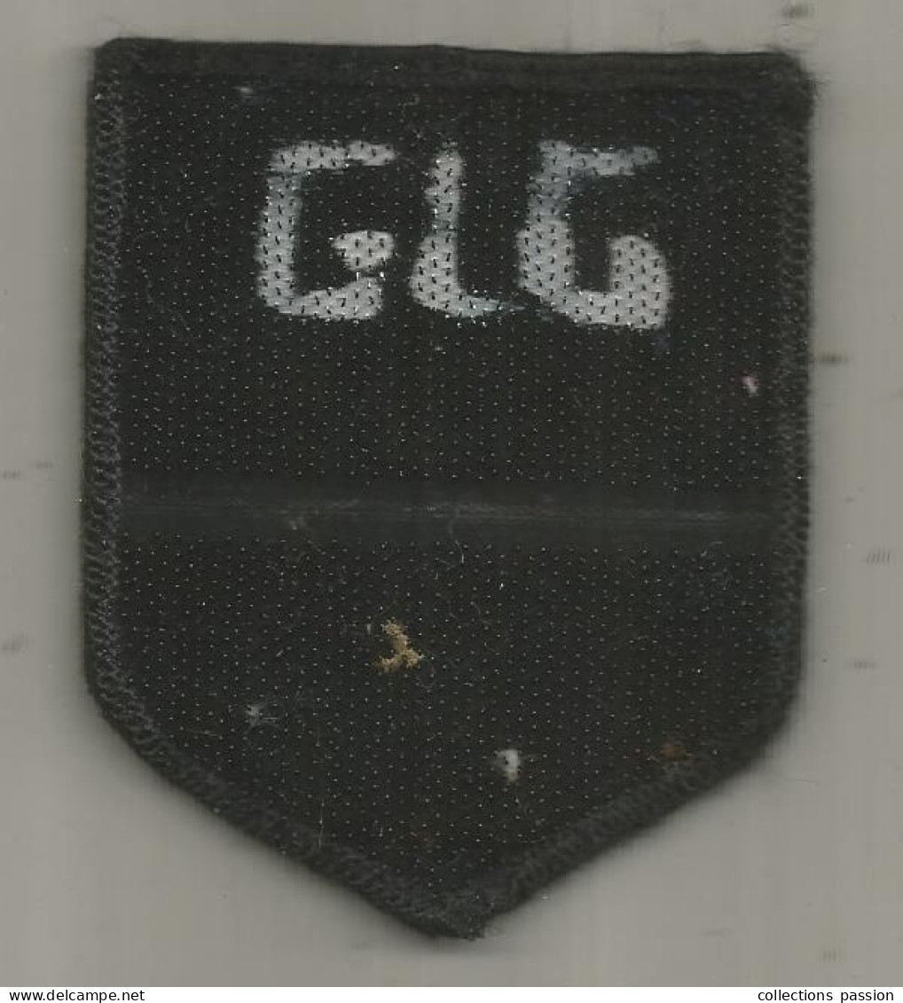 Ecusson De La GENDARMERIE, 2 Scans, Gendarmerie Région Rhone-Alpes - Polizei