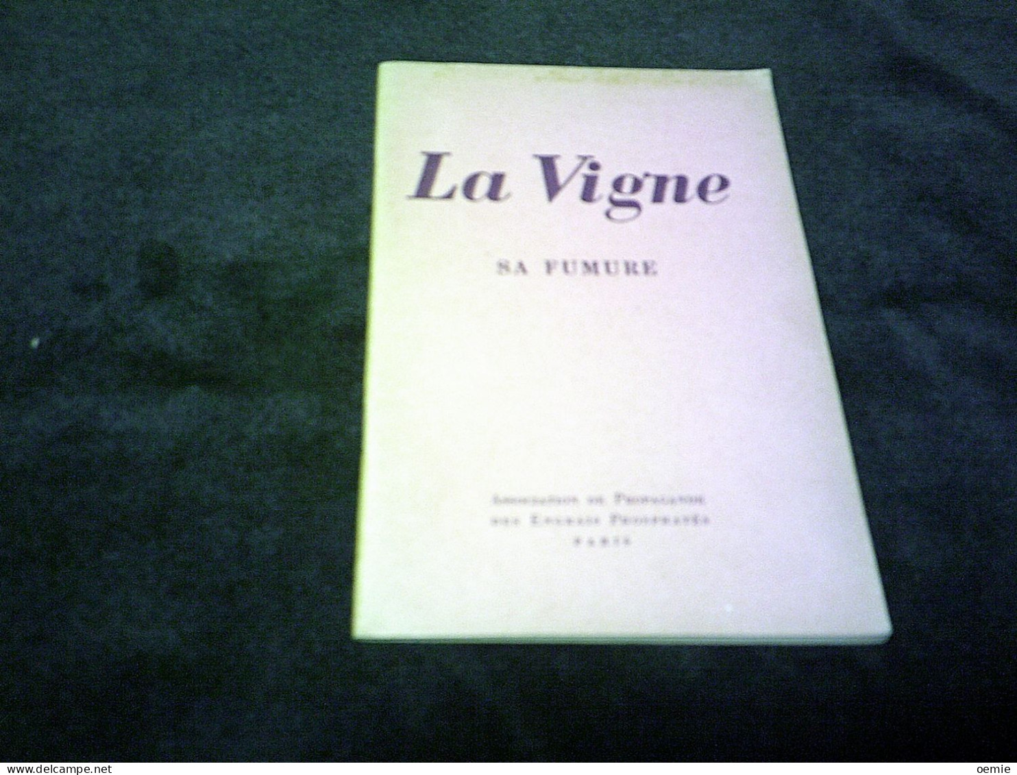 LA VIGNE  SA FUMURE  ( 1950 ) - Andere Pläne