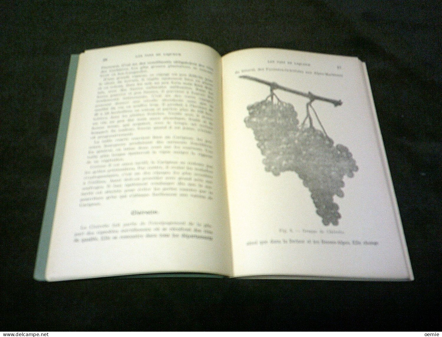 Les Vins De Liqueur   ( 1927 )  Edition Petite Bibliotheque Agricole - Andere Pläne