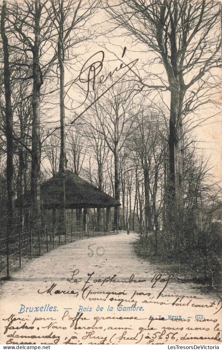 BELGIQUE - Bruxelles - Bois De La Cambre - Carte Postale Ancienne - Forêts, Parcs, Jardins