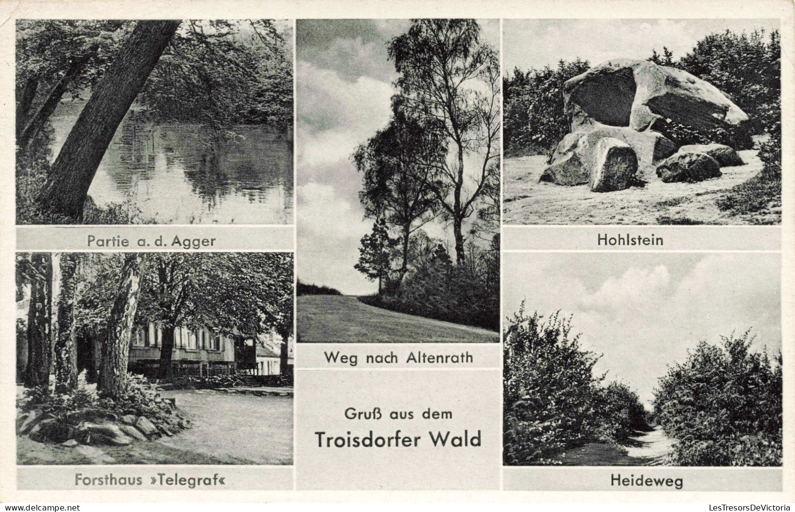 ALLEMAGNE - Grüsse Aus Dem Troisdorfer Wald - Carte Mulitvues - Carte Postale Ancienne - Köln