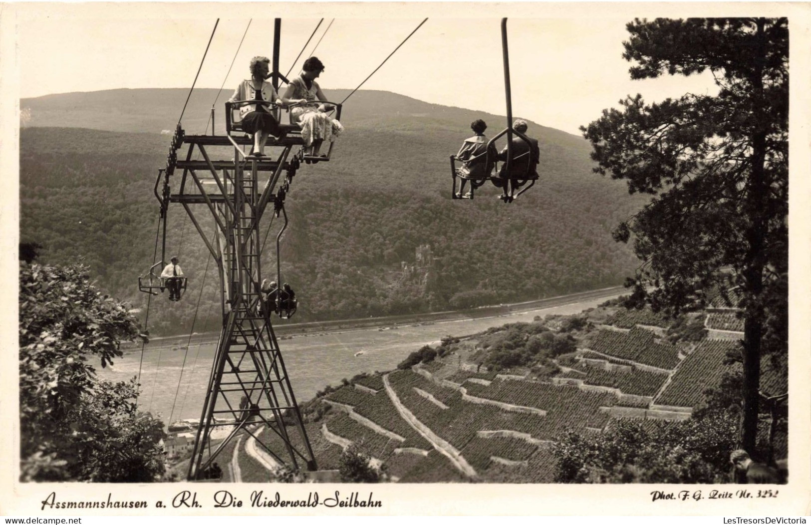 ALLEMAGNE - Rüdesheim - Assmannshausen A Rh Die Niederwald Seilbahn - Téléférique - Carte Postale Ancienne - Ruedesheim A. Rh.