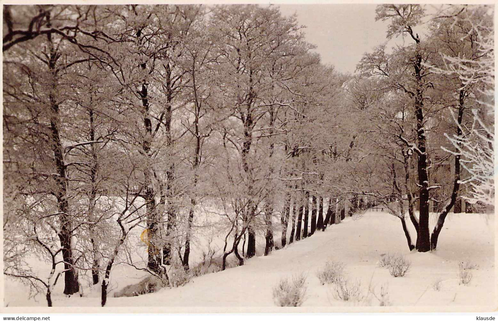 Tallinn - Verschneite Landschaft Gel.1927 - Estonie