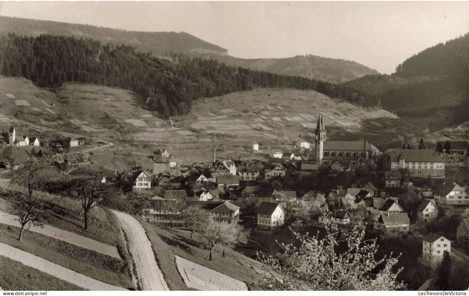 ALLEMAGNE - Forbach Im Romantischen Murgtal - Schwarzwald - Carte Postale - Gutach (Schwarzwaldbahn)