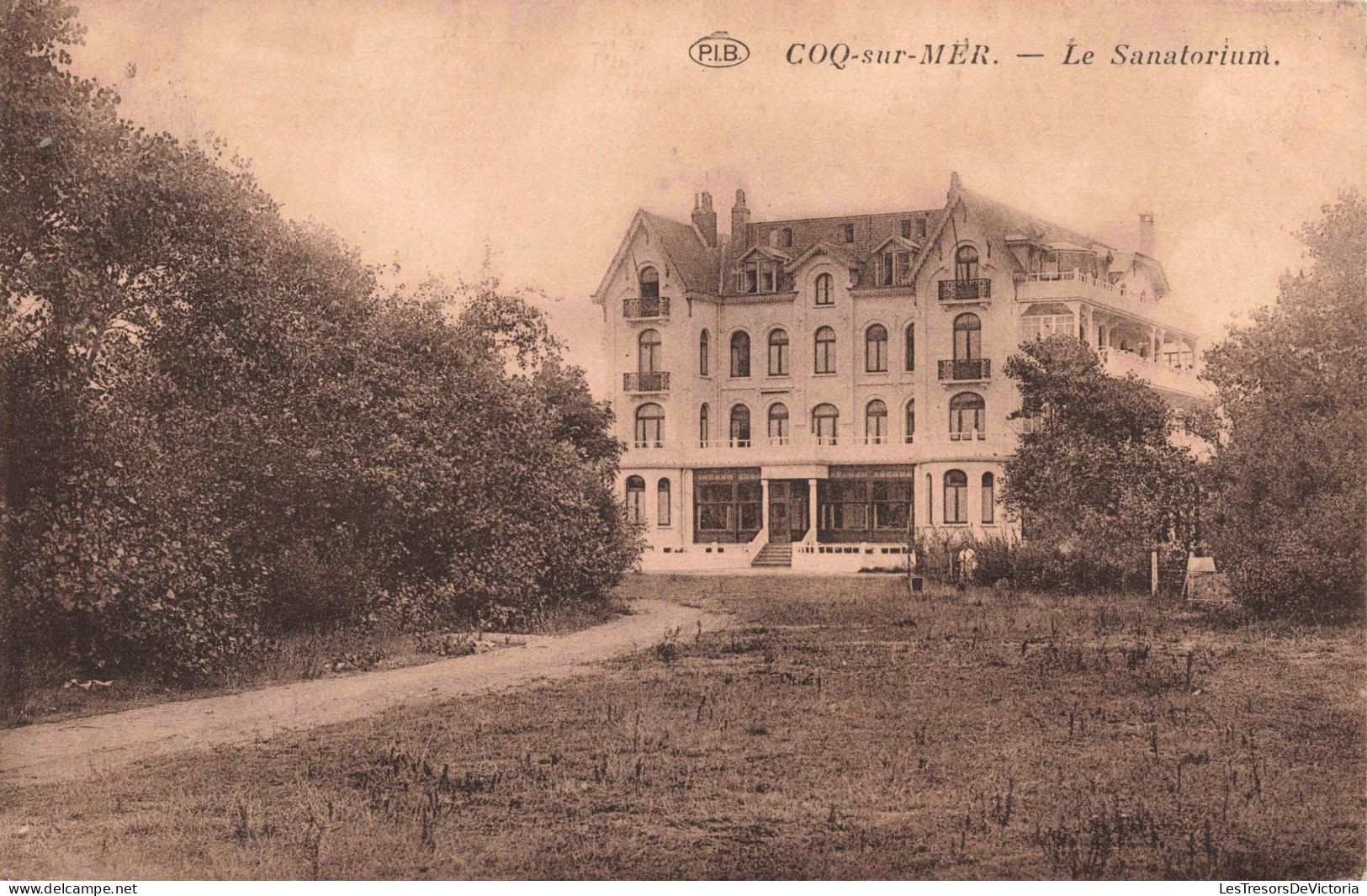 BELGIQUE - Coq-sur-Mer - Le Sanatorium - Carte Postale Ancienne - De Haan