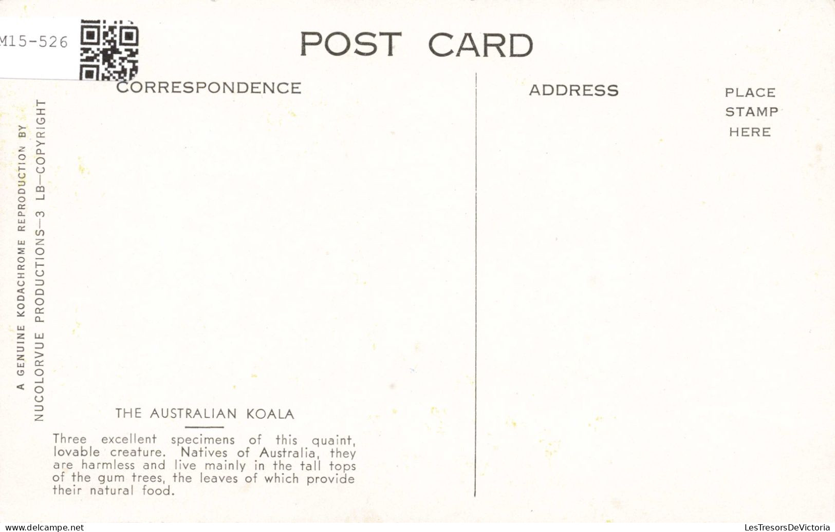 PHOTOGRAPHIE - Des Koalas Australiens - Colorisé - Carte Postale - Fotografie