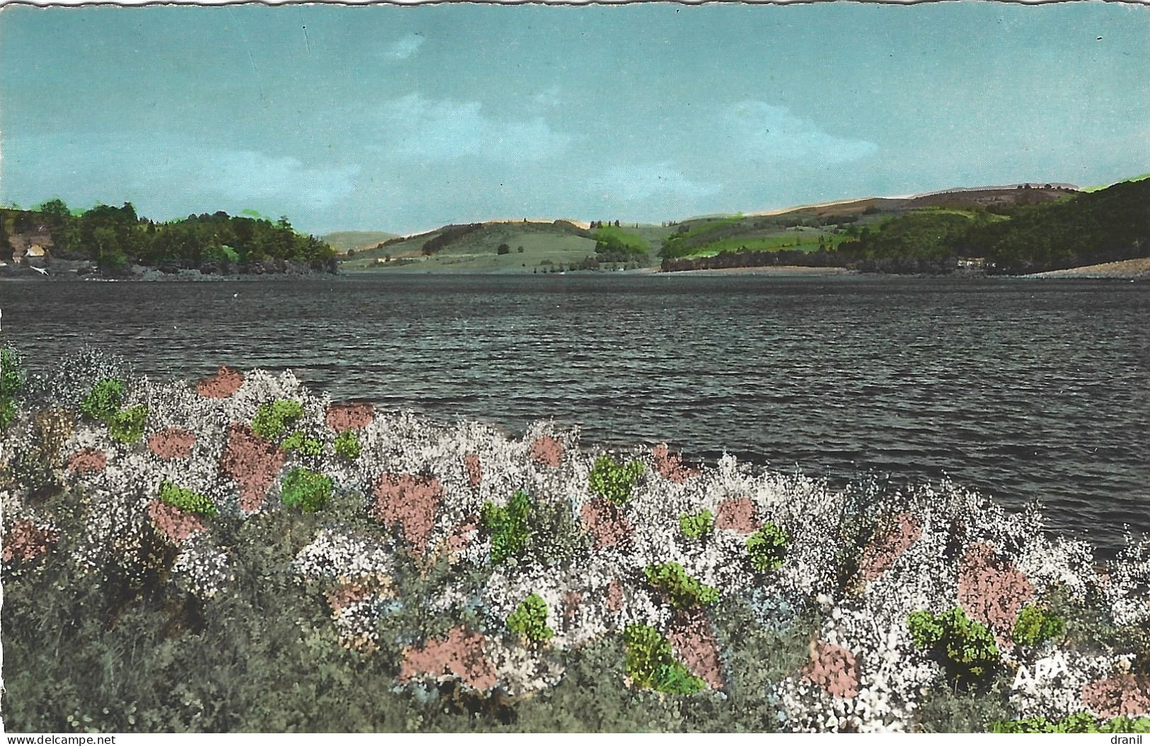 34  (Hérault) - A 10 Kms De LA SALVETAT SUR AGOUT - Le Barrage De La Raviège - La Salvetat