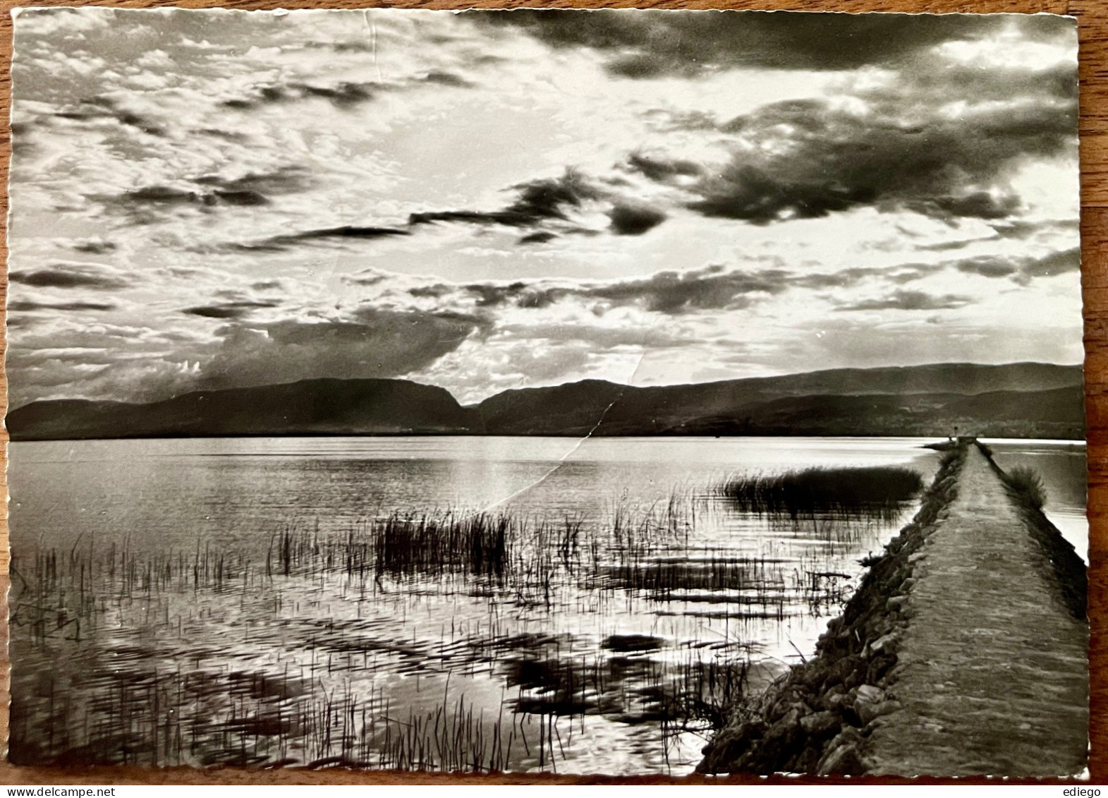 CUDREFIN - Le Bord Du Lac "Auberge De La Sauge " 1960 - Cudrefin