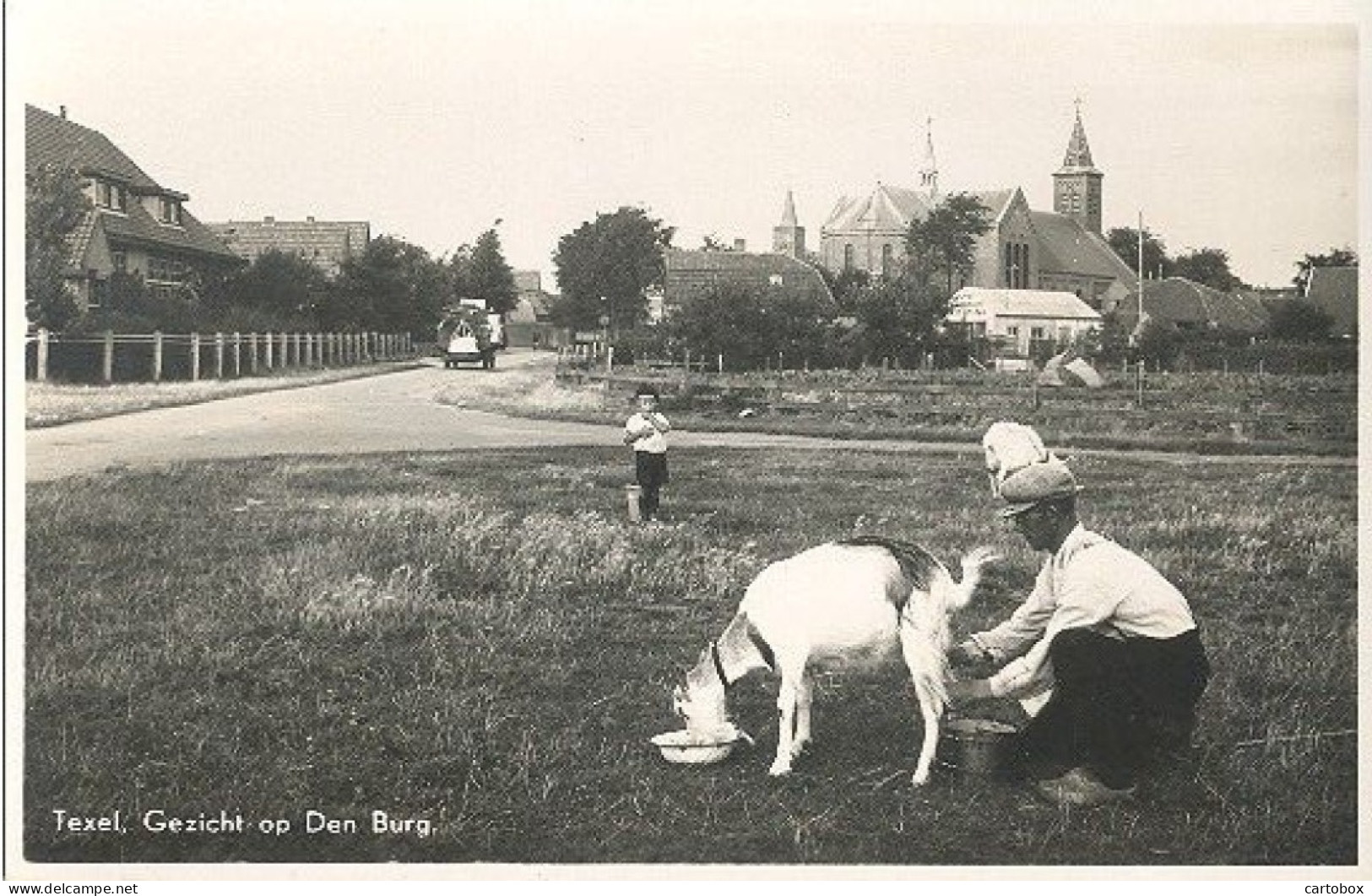 Texel, Gezicht Op Den Burg (geit) - Texel