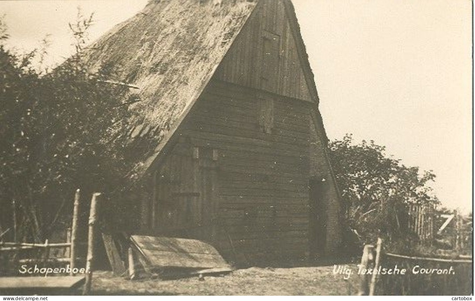 Texel, Schapenboet - Texel