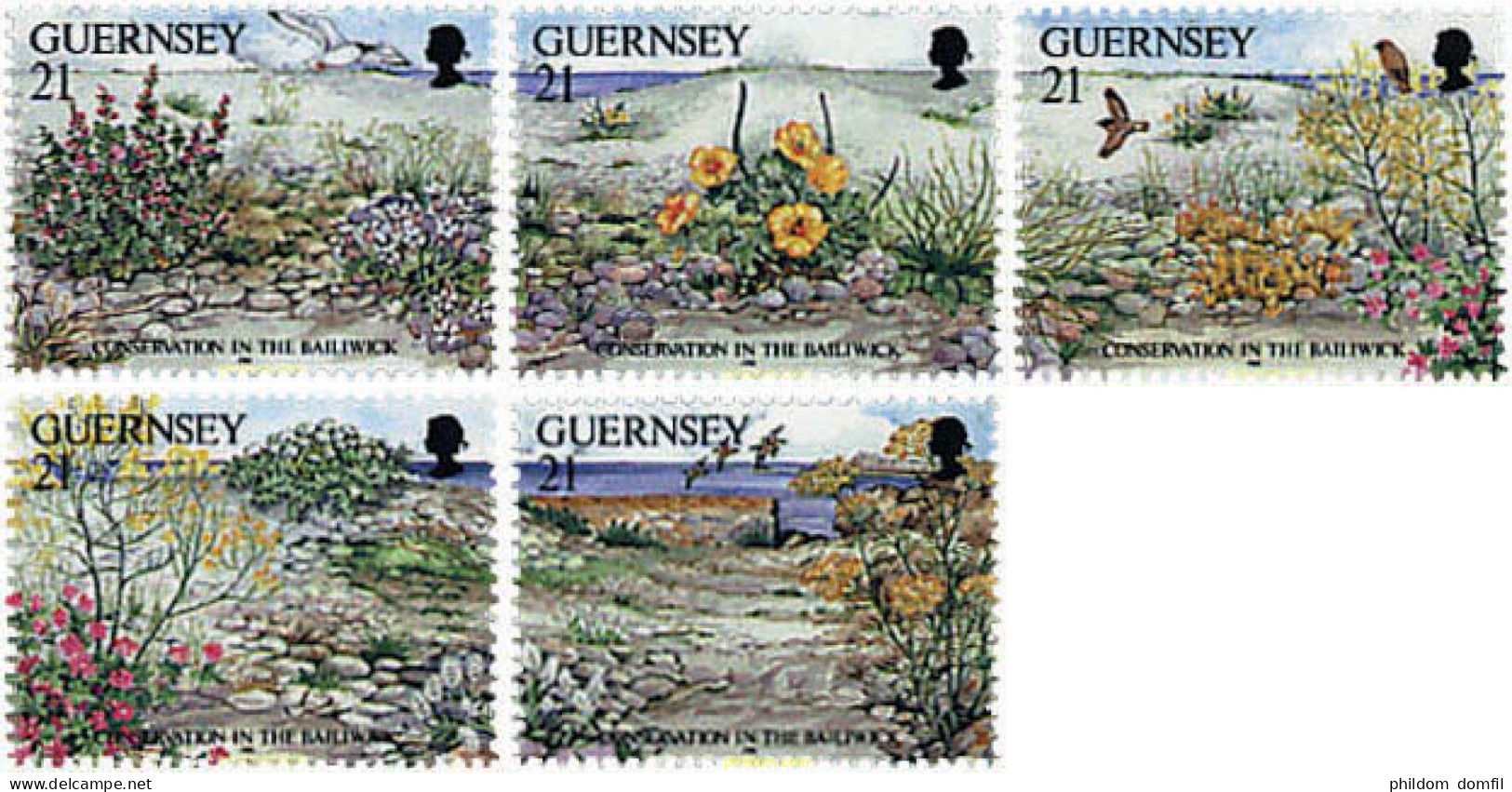 300747 MNH GUERNSEY 1991 PROTECCION DE LA NATURALEZA - Guernesey