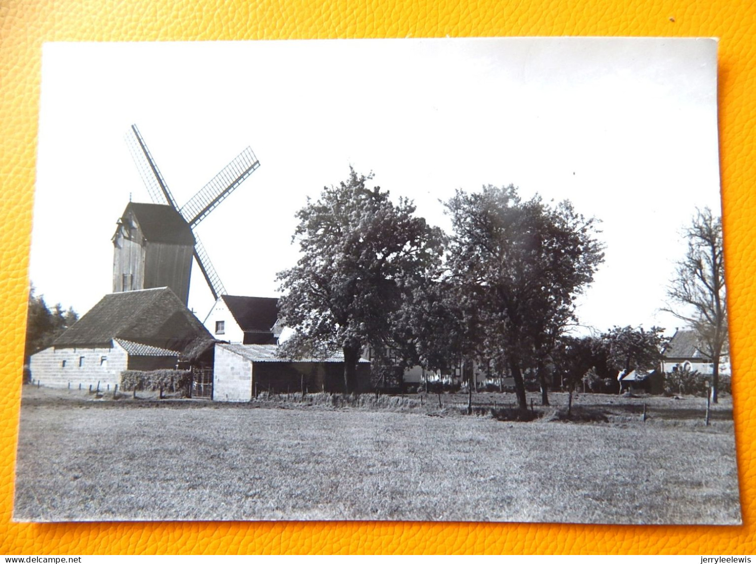 SINT-MARTENS-LATEM  -  Houten Standaardwindmolen - Sint-Martens-Latem