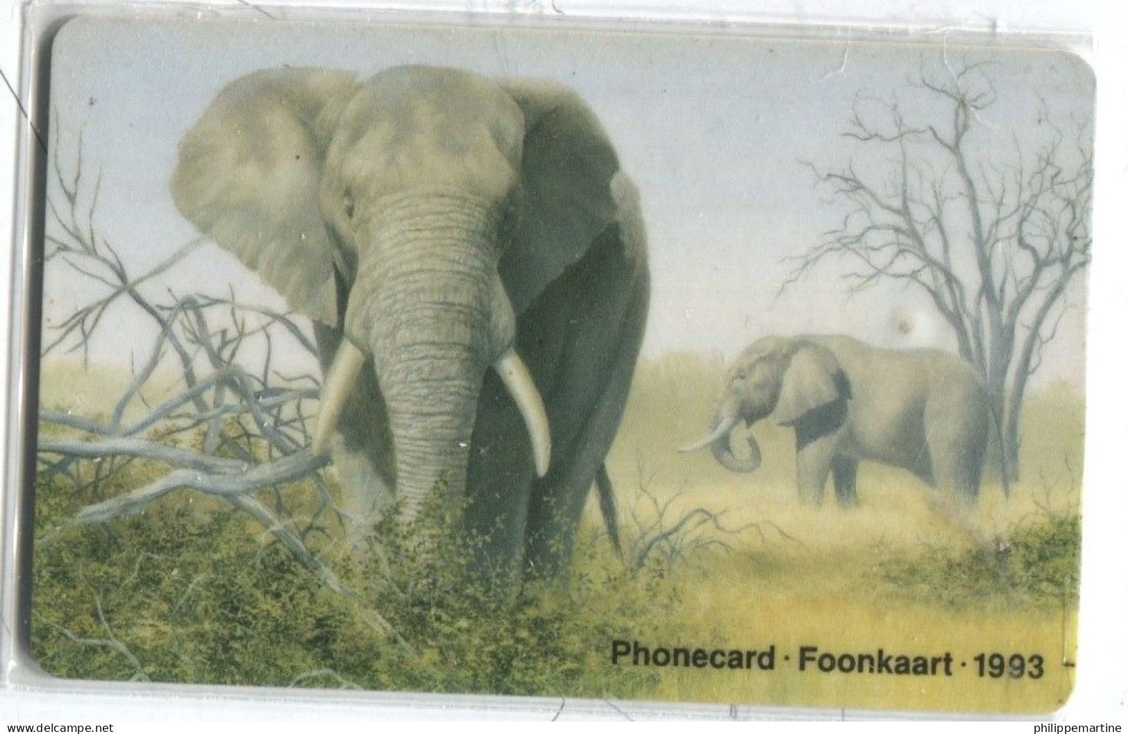 Télécarte Telkom (RSA) : Eléphant - Jungle