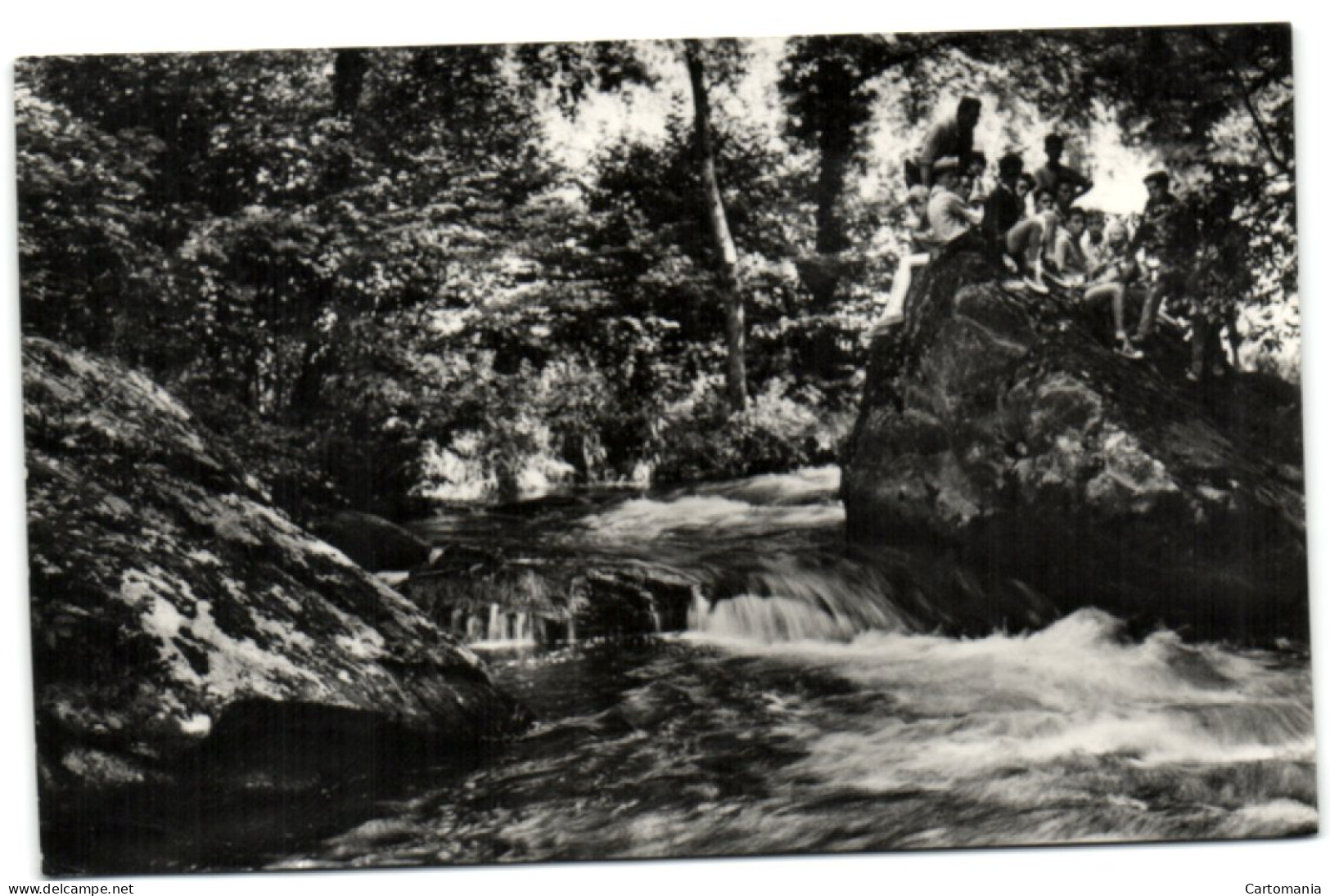 Porcheresse-en-Ardenne - La Rivière De L'Our - Daverdisse