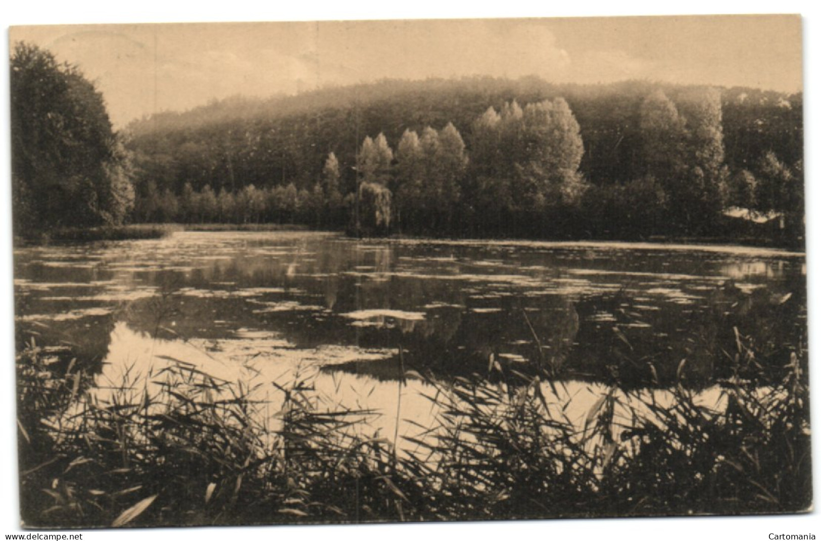 Ligue Des Amis De La Forêt De Soignes  - Etang De Rouge Cloître - Em. Empain - Oudergem - Auderghem